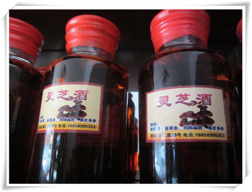 蘭溪嘉行養生酒 精品酒 輔仁路